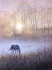 Grazing in the Mist