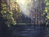 Cypress Lake