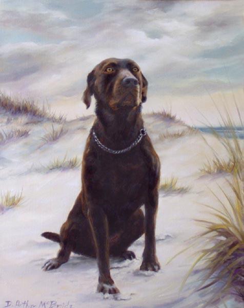 Beach Lab
